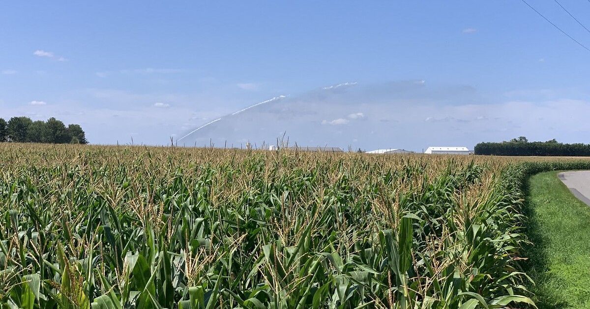 Nouvelles restrictions d'eau dans la Vienne face à la sécheresse persistante