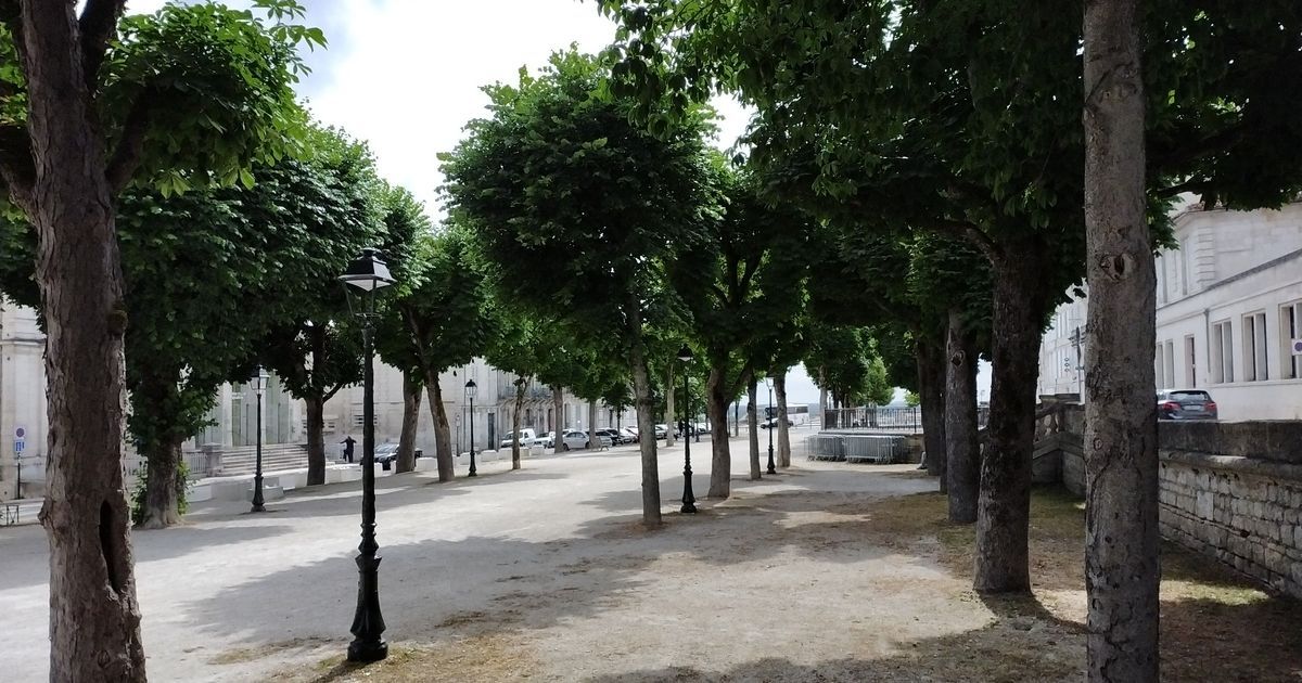 Angoulême : l'abattage de 22 arbres de la Place New York suscite des réactions