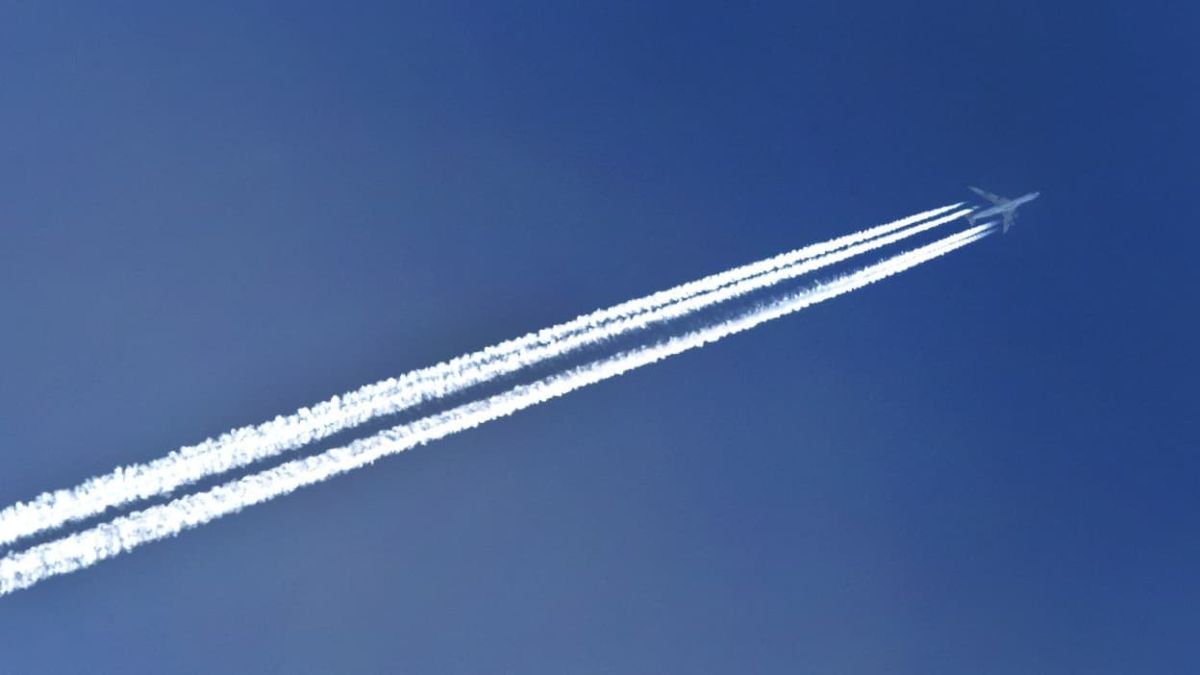Entre hausse du trafic et chute des bénéfices : l'avenir incertain des compagnies aériennes