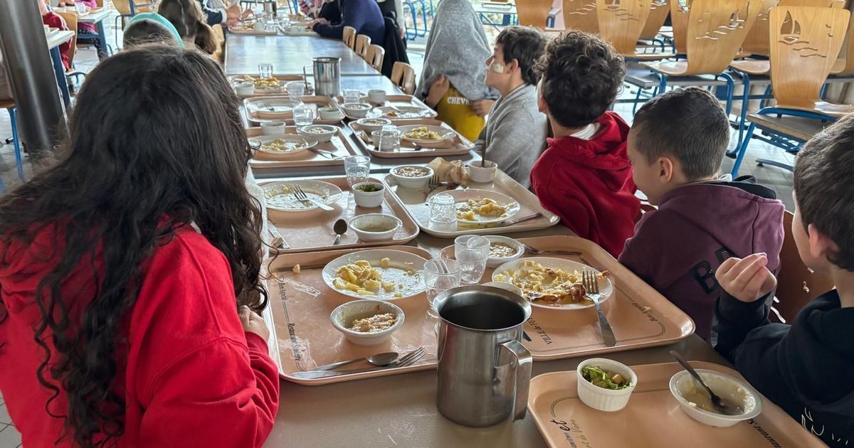 Des élèves de Charron signalent des vomissements : une intoxication alimentaire en question