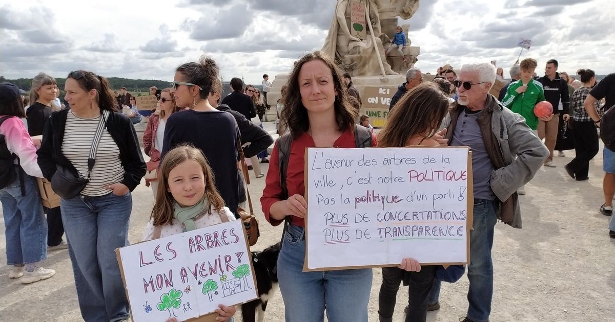 Angoulême en colère pour sauver les arbres de la Place New York