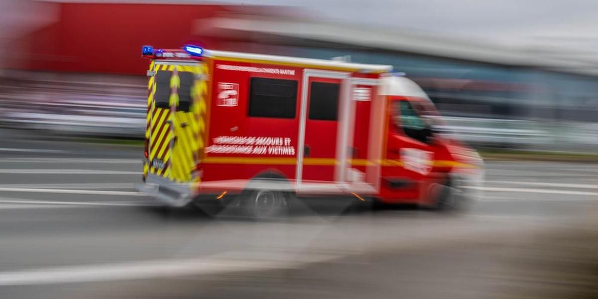 Accident tragique à Gauriaguet : un élagueur chute de dix mètres