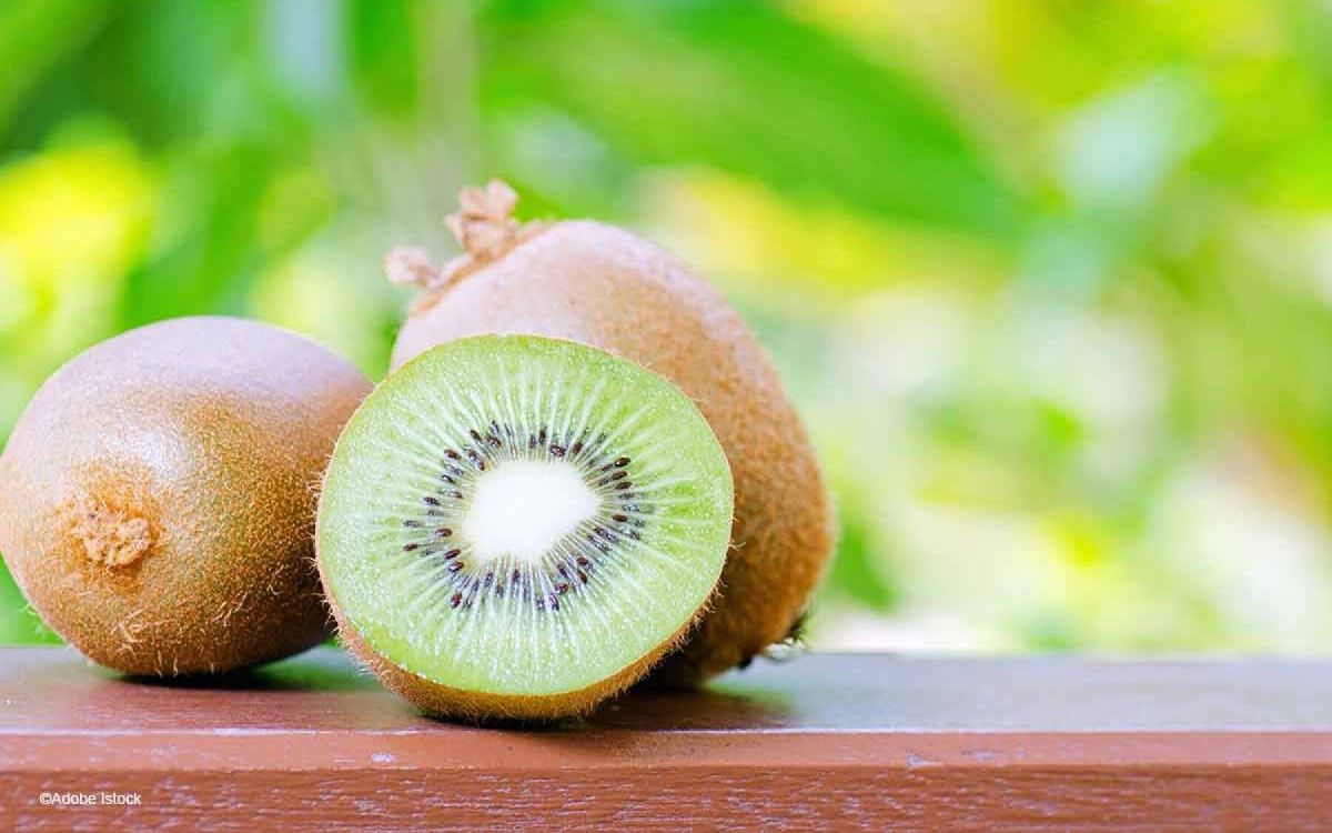 Cultiver le kiwi : guide complet pour réussir