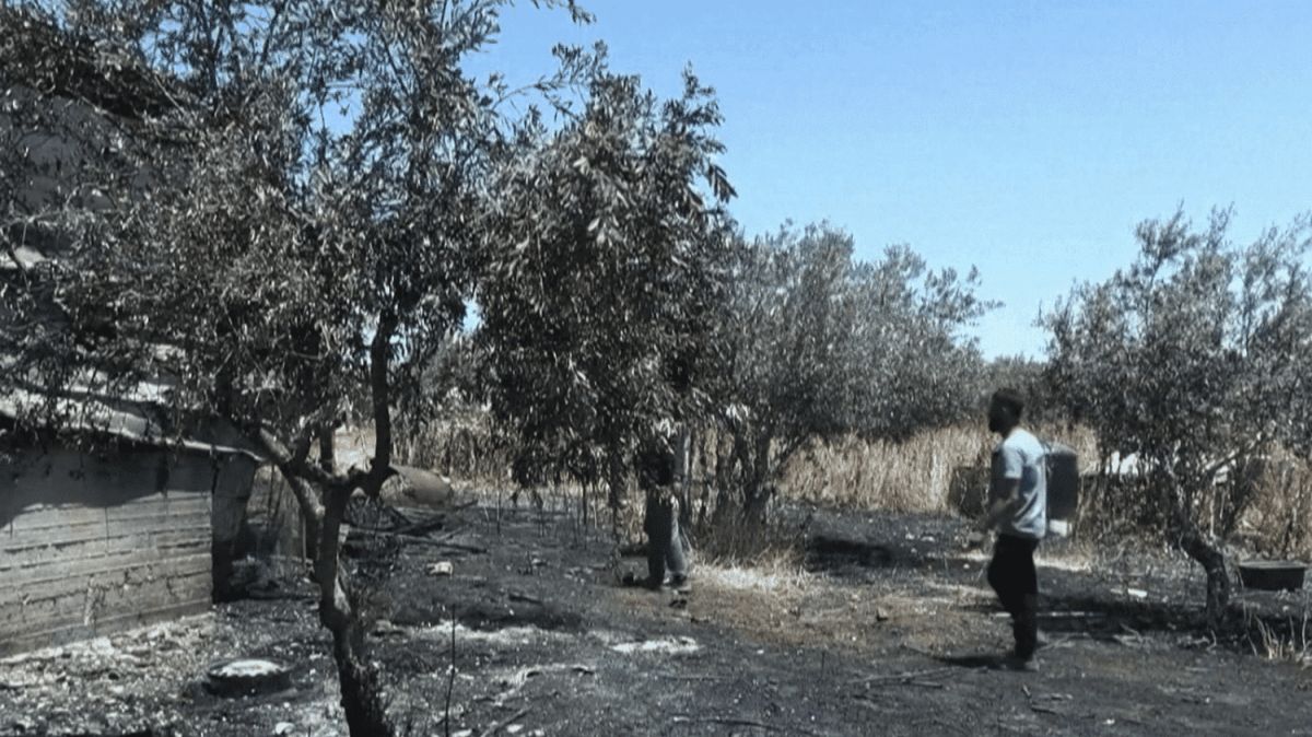 Cisjordanie : les agriculteurs palestiniens face à une montée des violences coloniales