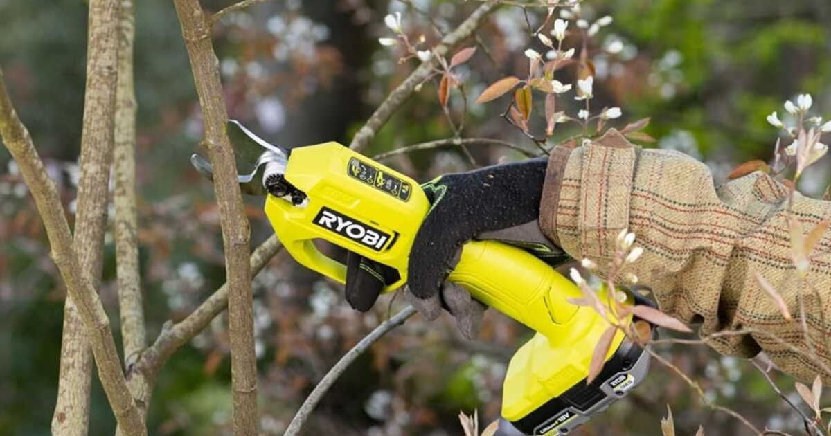 Le sécateur électrique idéal pour les amoureux du jardinage en promotion sur Amazon