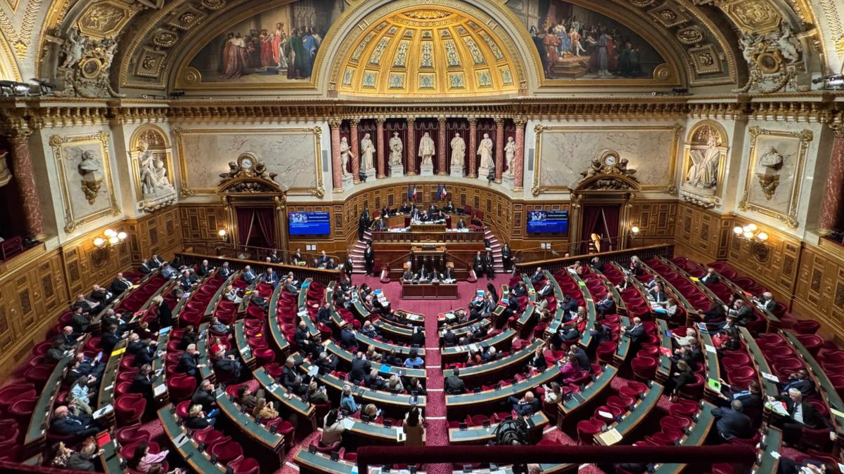La commission d'enquête du Sénat face aux failles du système pénal suite à la mort de Lyhanna