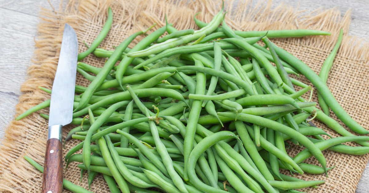 la piège courante avec les haricots verts que vous devez éviter