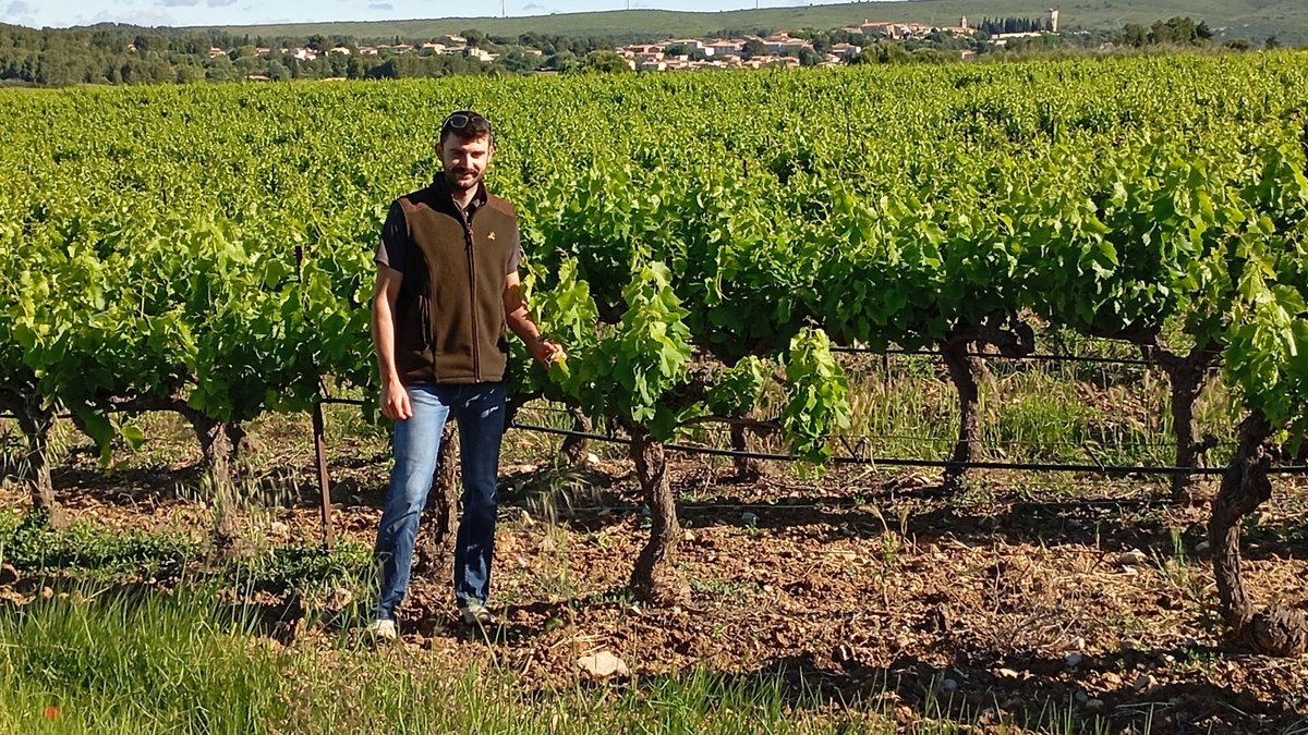 Paul Bréguiboul redynamise un vignoble historique à Villeveyrac