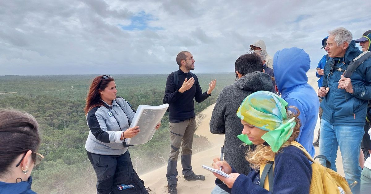 La résilience de la forêt de La Teste : un avenir prometteur après l'incendie