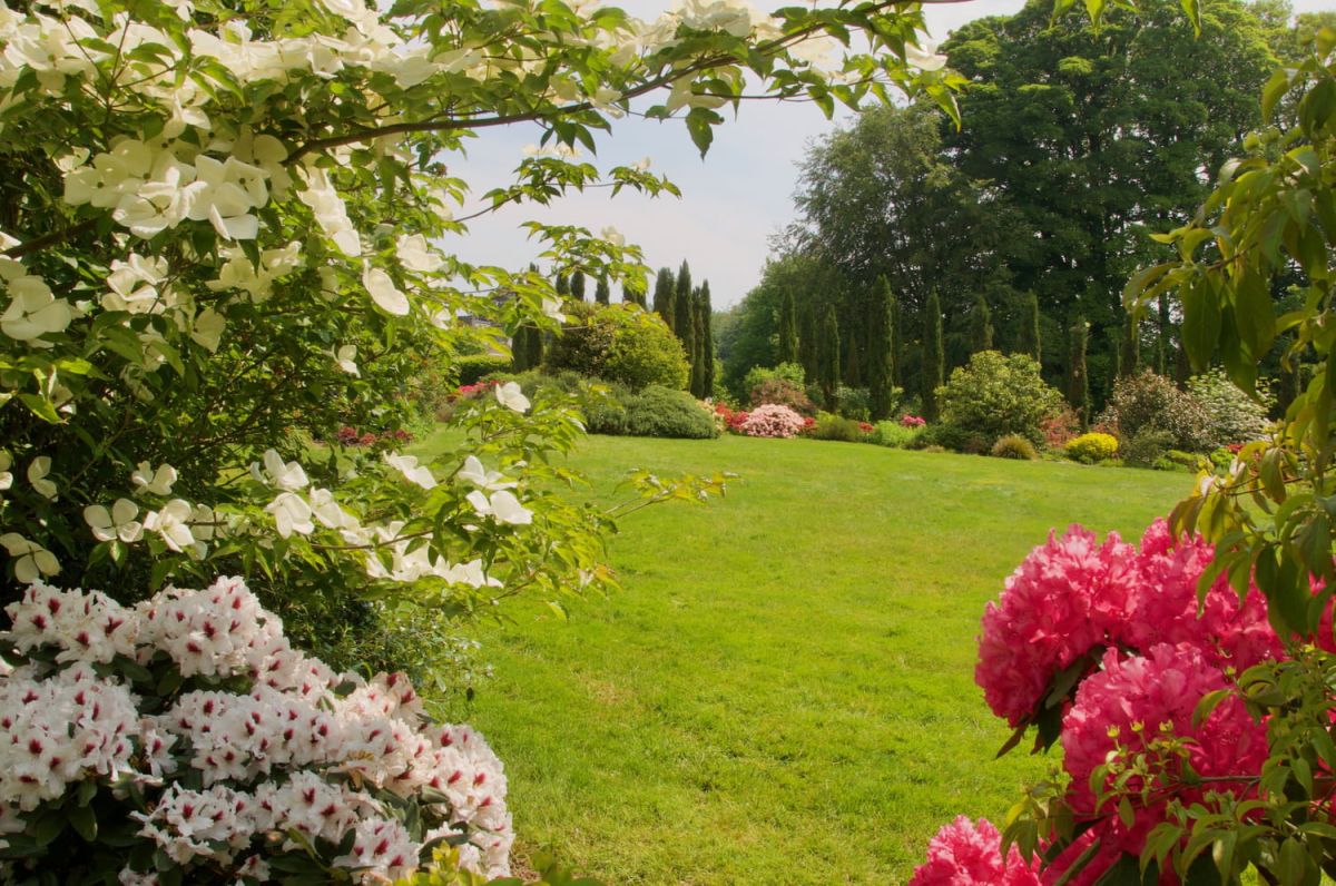 Découvrez ces 7 jardins anglais enchanteurs en France