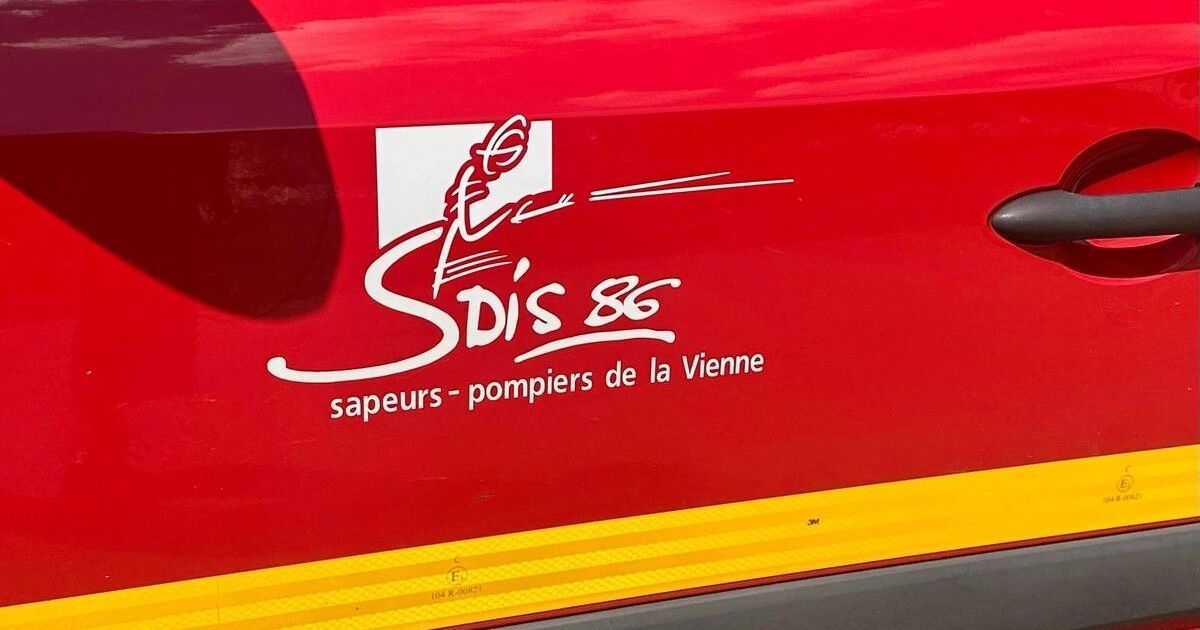 Un incendie ravage près de La Chapelle-Moulière : déjà sept hectares en flammes