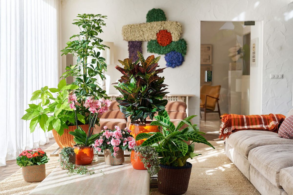 Transformez votre intérieur avec cette tendance jardin