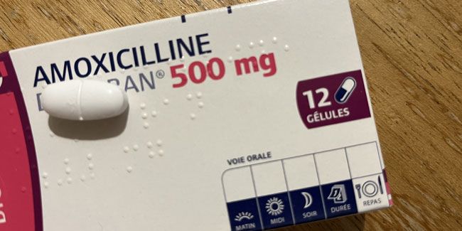 L'impact des antibiotiques : pourquoi leur efficacité est-elle progressive ?