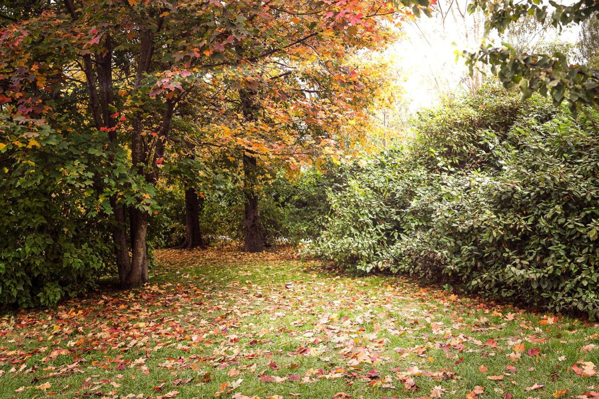 Attention au jardin : des gestes d'automne désormais sanctionnés