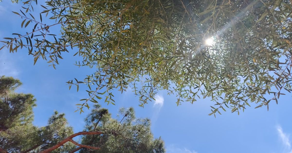 La Corse face à la chaleur : vers un été compliqué ?
