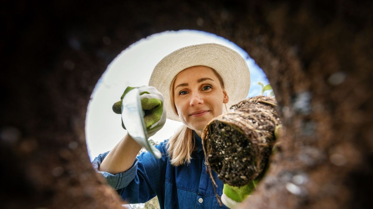 Récupérer les vers de terre : astuces pour revitaliser votre jardin
