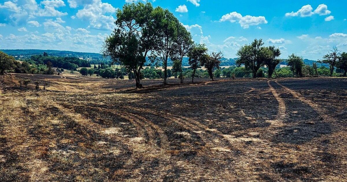 Incendies en Creuse : les risques augmentent avec la chaleur et les travaux agricoles