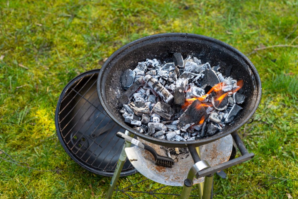 les cendres de barbecue : un trésor pour votre jardin cet été