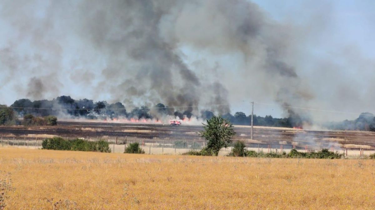 Incendies de culture : les pompiers à la lutte à Ayron et Vernon