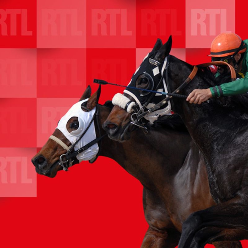 Les pronostics de Cordier pour le Quinté d'Agen : qui sortira vainqueur ?