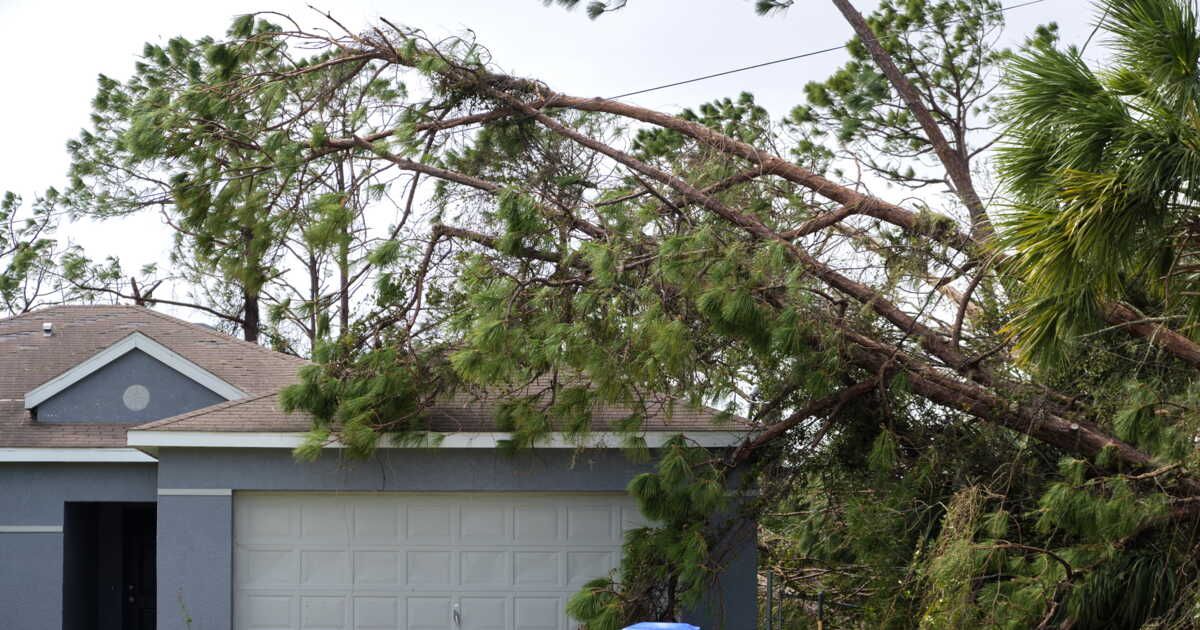 Vents violents : l'assurance couvre-t-elle les dommages causés chez le voisin ?