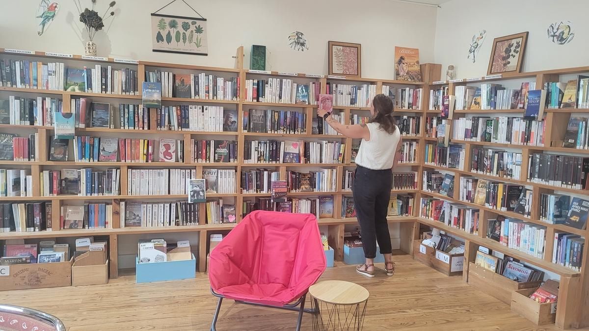 Castelnau-de-Médoc : un nouveau service de livraison de livres pour tous
