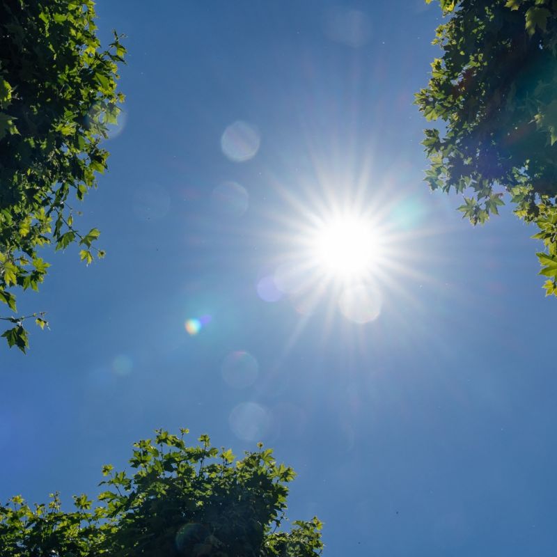 Une canicule exceptionnelle s'installe en France