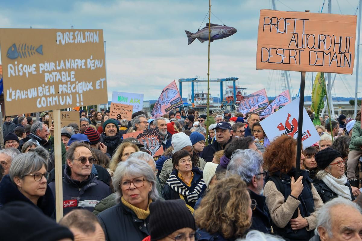 Mobilisation à Bordeaux contre la ferme de saumons du Verdon