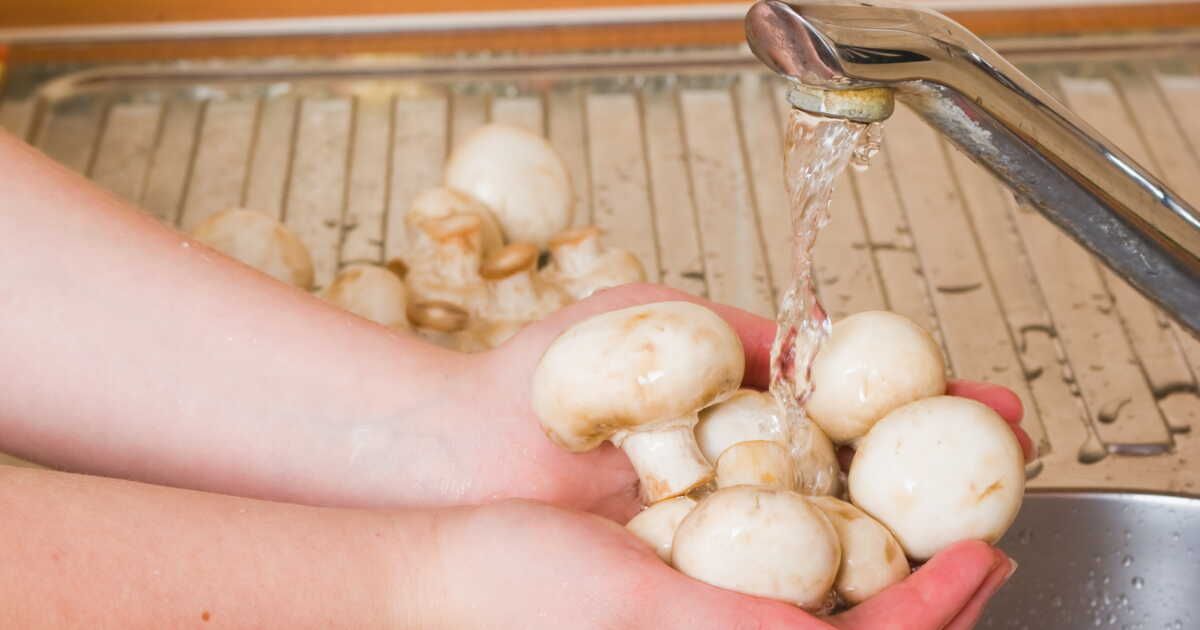 Le guide ultime pour nettoyer les champignons de Paris