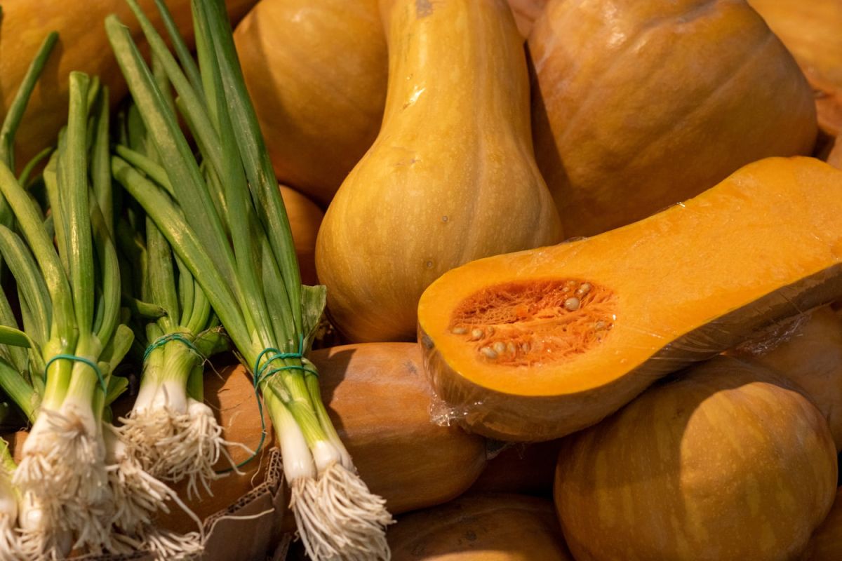 le secret pour choisir la courge butternut parfaite