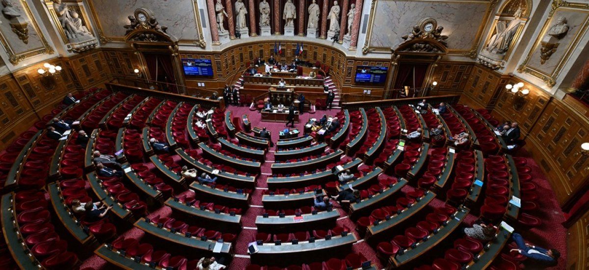lutte contre le masculinisme : le Sénat tire la sonnette d'alarme