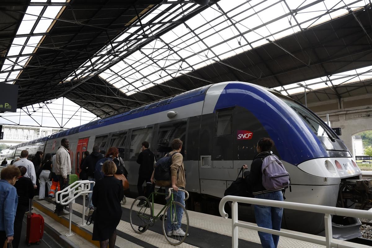 Un deuxième chat écrasé : la SNCF sous le feu des critiques