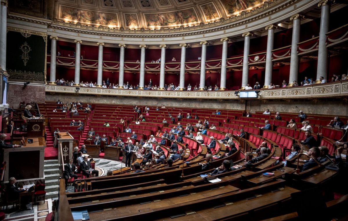 Controverse autour de la loi de programmation militaire : la gauche interpelle le Conseil constitutionnel