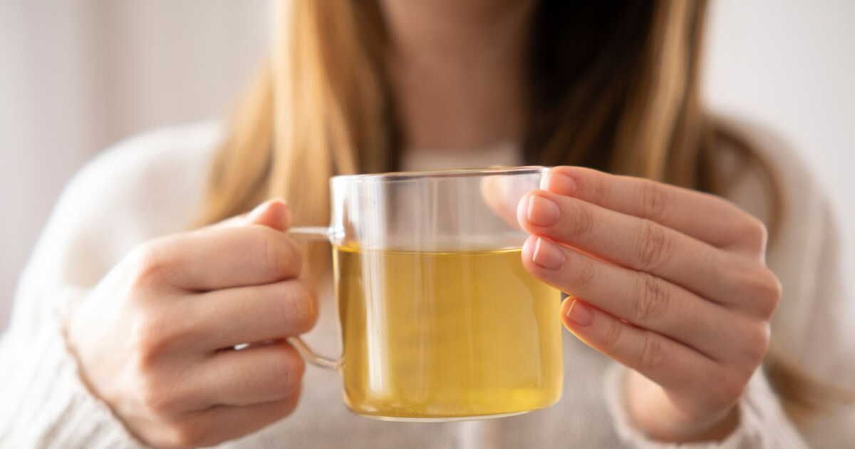Les secrets méconnus de la tisane de camomille : avertissements d'une herboriste
