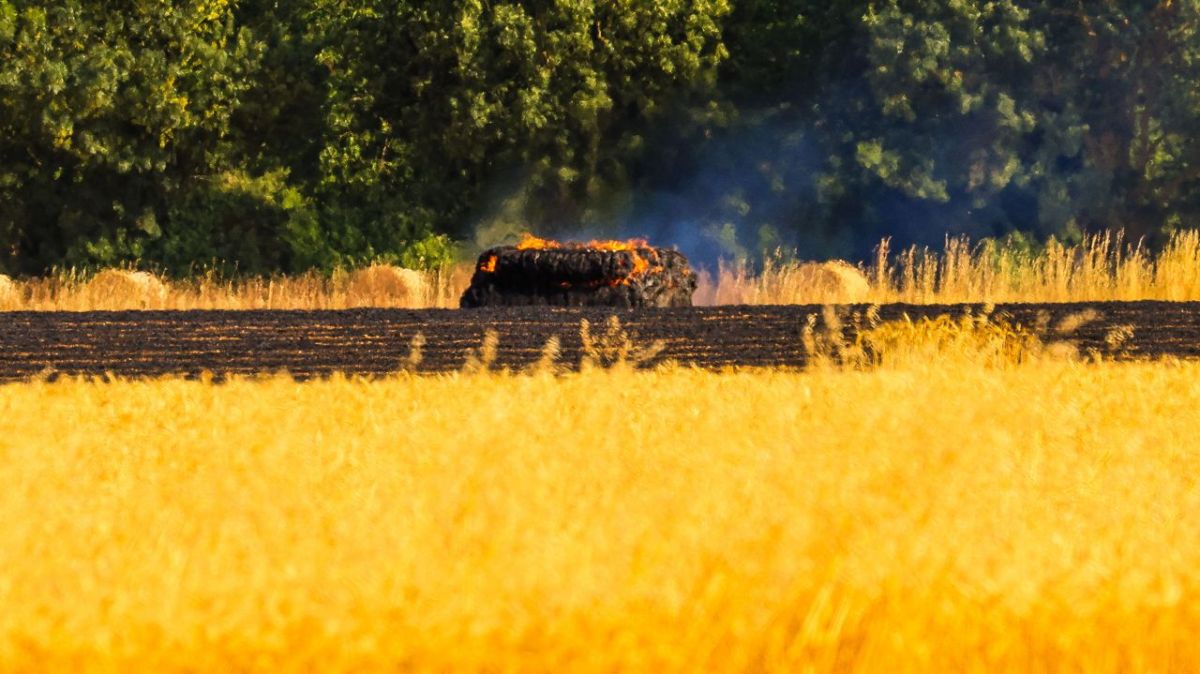 Des pompiers en première ligne face aux flammes dans les Deux-Sèvres
