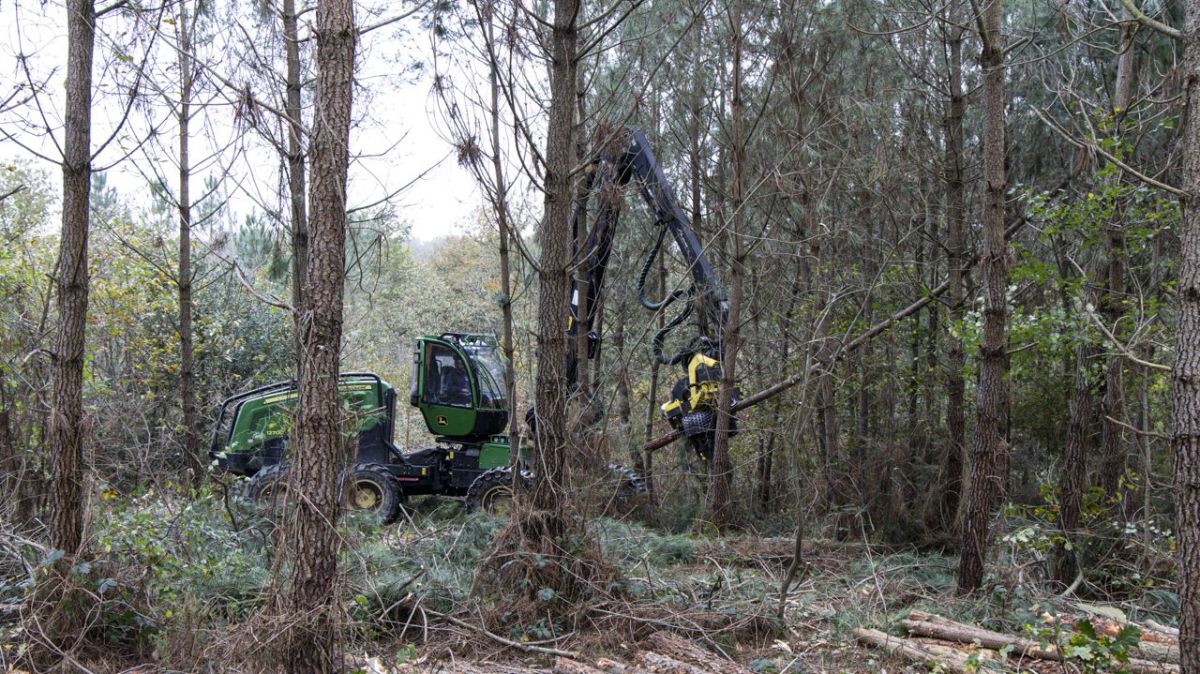 Chaleur extrême en Vienne : le préfet restreint les activités l'après-midi