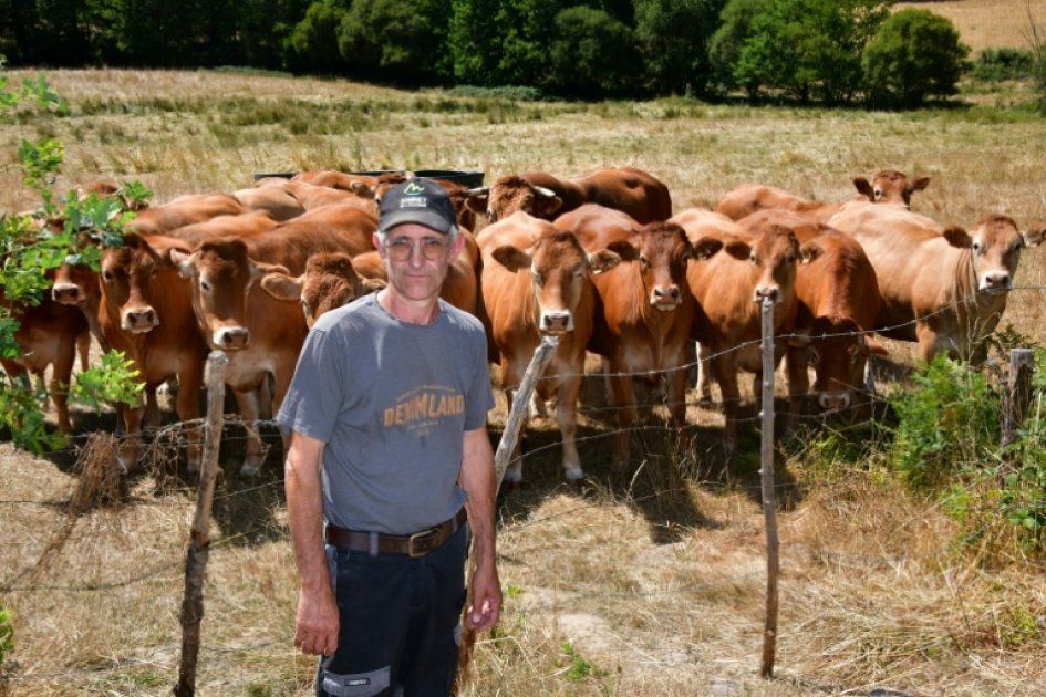 La Creuse à l'agonie : la sécheresse sape les éleveurs