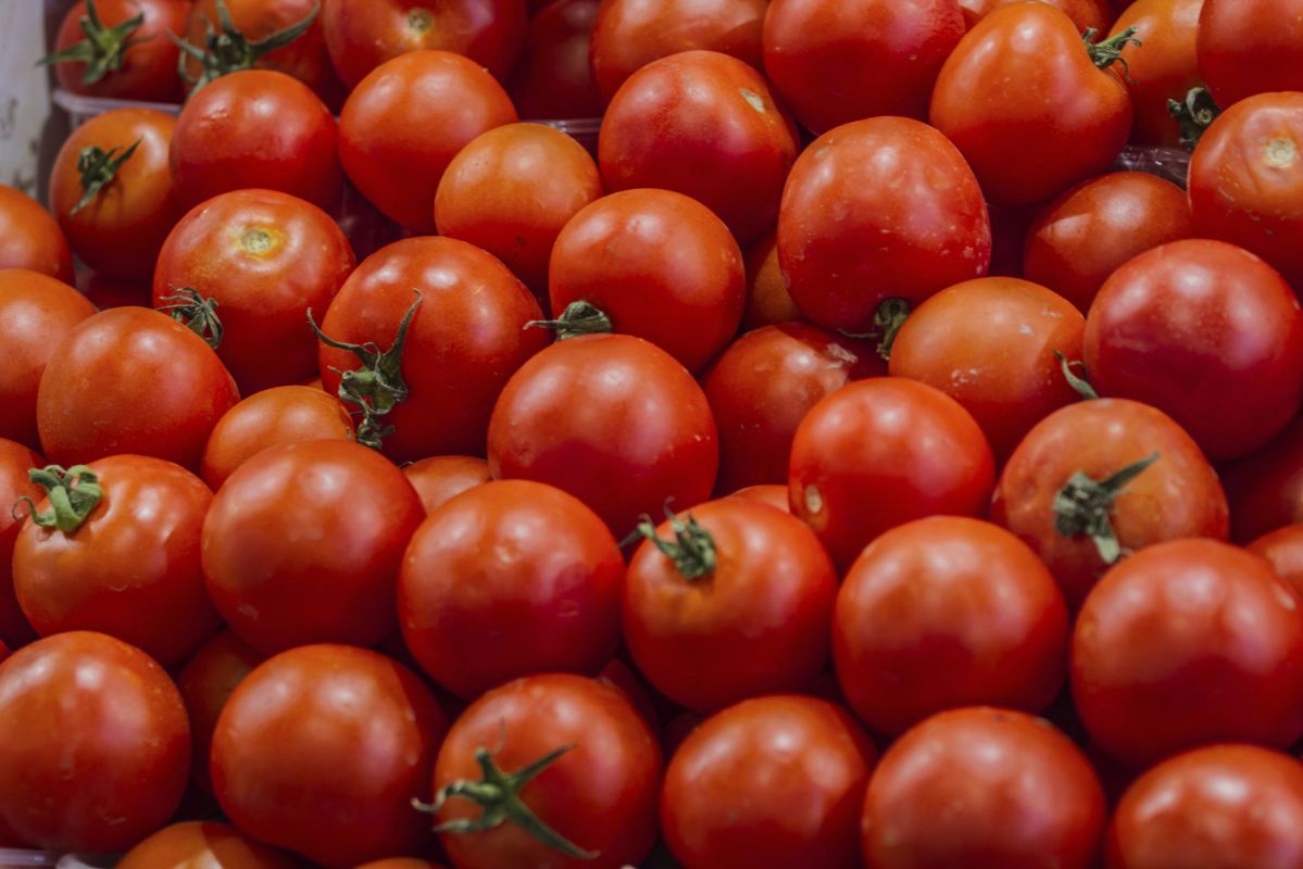 Des tomates pour booster la fertilité masculine
